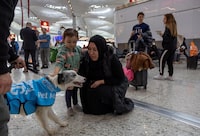 Passengers pet one of five therapy dogs as they roam Istanbul Airport, searching for stressed passengers who are looking to calm their nerves before they board their flight, in Istanbul, Turkey, March 11, 2024. REUTERS/Umit Bektas