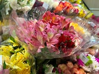 Fresh flowers are on display at a grocery store in St. John's on Friday, February 2, 2024. THE CANADIAN PRESS/Sarah Smellie