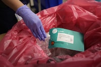A study from Quebec says 64 people donated their organs after medical assistance in dying over five years, representing 14 per cent of all such donations in that province in 2022. A liver is prepared for transport after it has been removed from an organ donor June 15, 2023, in Jackson, Tenn. THE CANADIAN PRESS/AP-Mark Humphrey