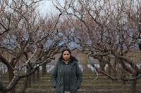 Jennifer Deol, the co-owner of There and Back Again Farms, stands near the farm’s peach orchard in Kelowna, B.C., on Tuesday, March 5, 2024. B.C. farmers are predicting at least a 90 per cent loss of this summer's harvest of fruit including peaches, apricots and nectarines. THE CANADIAN PRESS/Aaron Hemens