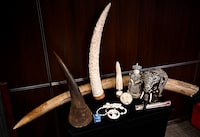 Items made of ivory and a rhino horn, front left, part of the collection of confiscated items held by Environment and Climate Change Canada, are shown during a news conference on the implementation of stricter measures to regulate the trade of certain wildlife items, particularly elephant ivory and rhinoceros horn, in Ottawa, on Monday, Nov. 20, 2023. THE CANADIAN PRESS/Justin Tang
