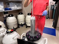 FILE PHOTO: A nurse practitioner for Huntsville Reproductive Medicine, P.C., lifts frozen embryos out of IVF cryopreservation dewar in Madison, Alabama, U.S., March 4, 2024. REUTERS/Roselle Chen/File Photo