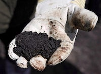 An oil worker holds raw sand bitumen near Fort McMurray, on July 9, 2008. Oilsands producer MEG Energy says it bought credits from other producers to increase its production to near capacity in the second quarter despite the ongoing Alberta government oil curtailment program. THE CANADIAN PRESS/Jeff McIntosh