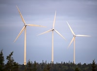 <div>Algonquin Power and Utilities Corp. says it has hired an interim CEO to replace the current one as it looks to sell its renewable energy division after losses topping US$250 million last quarter. The West Pubnico Point Wind Farm is seen in Lower West Pubnico, N.S. on Monday, Aug. 9, 2021. THE CANADIAN PRESS/Andrew Vaughan</div>