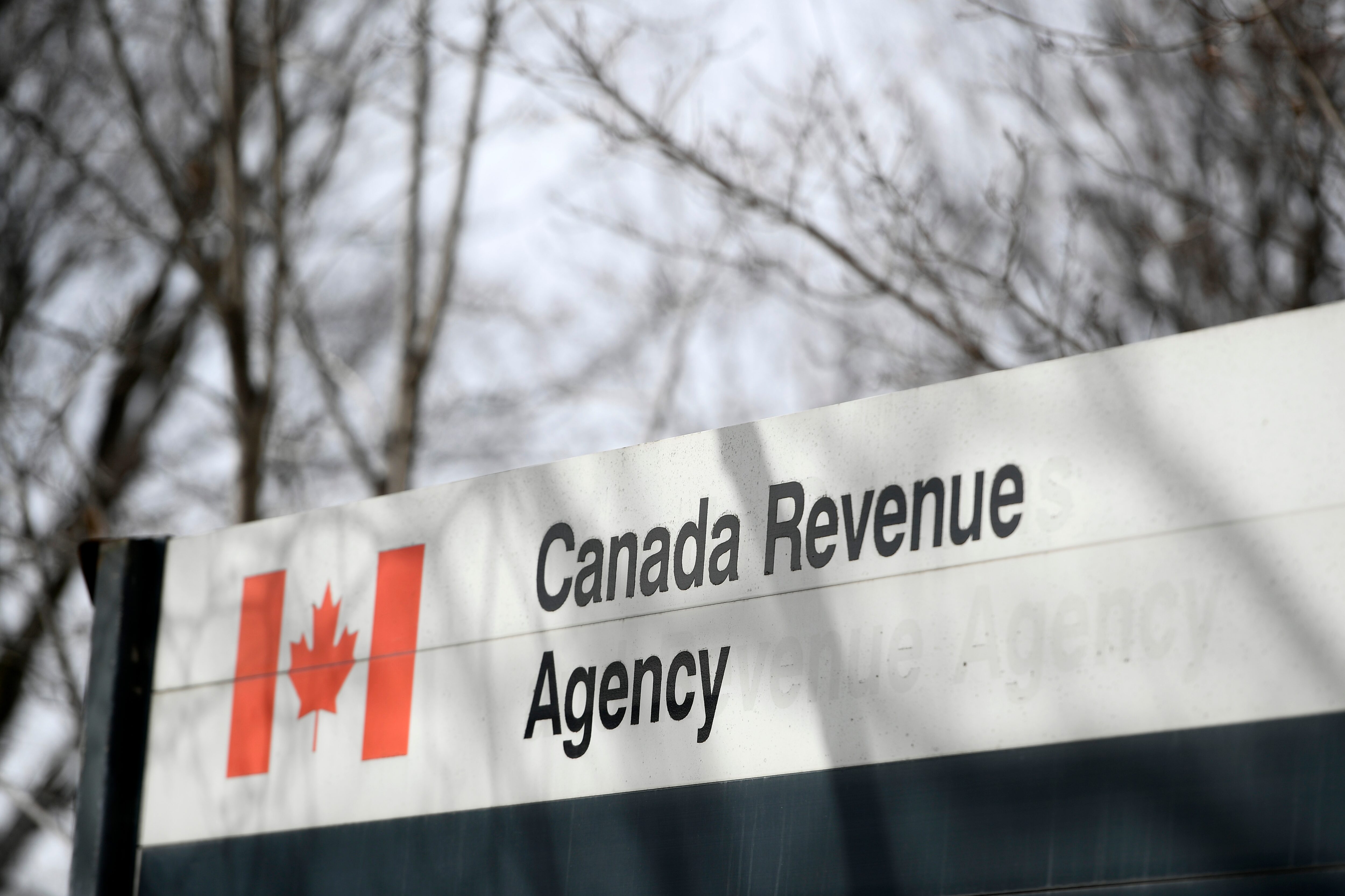 CRA clarifies penalty relief rules for bare trust returns