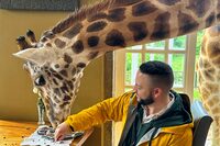 Giraffe manor  Kenya 