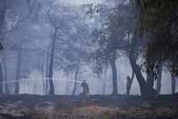 Firefighters spray water inside a woodland during a wildlife in the suburb of Stamata, in northern Athens, Greece, Monday, Sept. 4, 2023. Wildfires are common in Greece and other southern European countries during their hot, dry summers as dozens of fires have been breaking out each day across the country for weeks. (AP Photo/Thanassis Stavrakis)