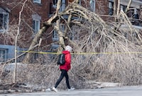 More than 255,000 Hydro Quebec customers are in the dark this morning as a significant spring storm rolls through the region. A person moves past cracked and fallen trees following a storm in Montreal, Friday, April 7, 2023. THE CANADIAN PRESS/Graham Hughes