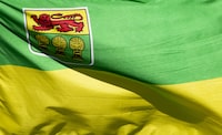 Saskatchewan's largest nurses union says overcrowding in the province's hospitals has reached dangerous levels in at least one of them. Saskatchewan's provincial flag flies on a flag pole in Ottawa on July 6, 2020. THE CANADIAN PRESS/Adrian Wyld</div>