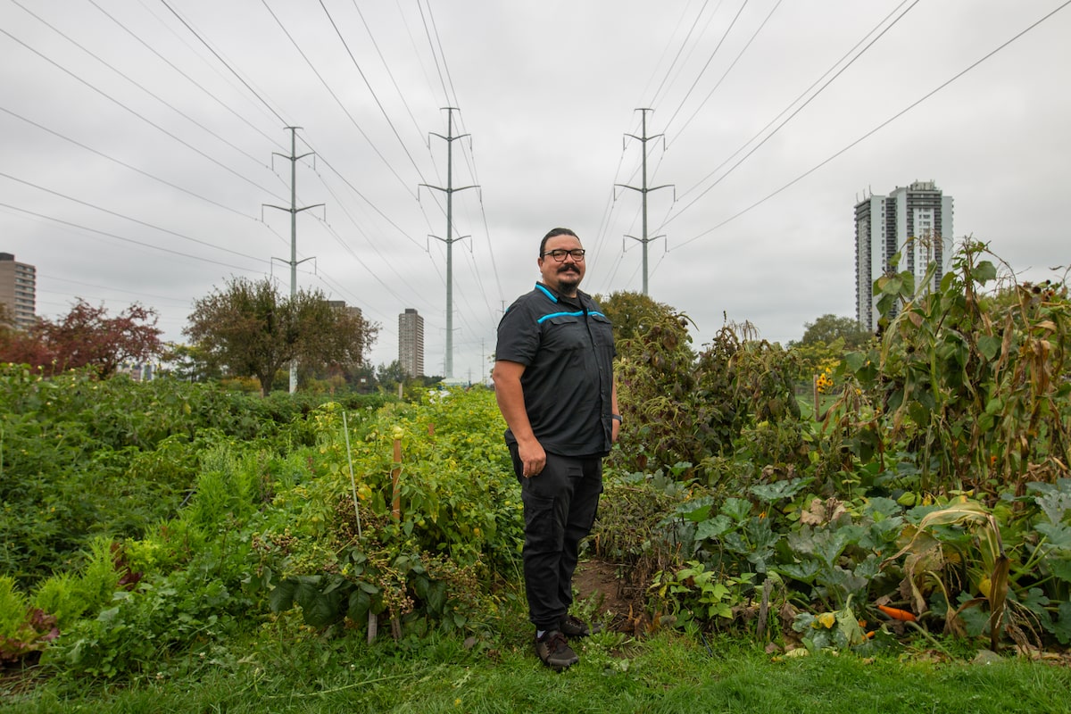 Anishinabe chef is advocating for Indigenous food sovereignty with urban farm