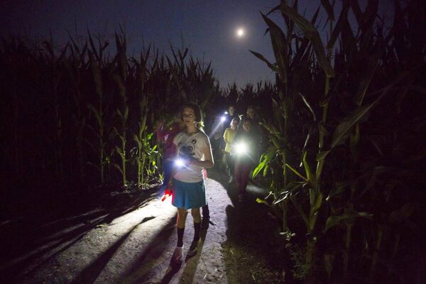 Globe - the The at night Mail and cornfield Navigating maze In Photos: