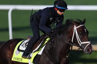 LOUISVILLE, KENTUCKY - MAY 05: Forte trains on the track during morning workouts for the 149th running of the Kentucky Derby at Churchill Downs on May 05, 2023 in Louisville, Kentucky. (Photo by Michael Reaves/Getty Images)
