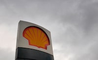 FILE PHOTO: The Shell logo is seen at a petrol station in south London January 31, 2008. REUTERS/Toby Melville/File Photo