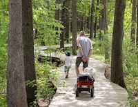 <p>A man and his son walk along the boardwalk towards the beach at Oka provincial park on Thursday May 28, 2020 in Montreal. A small forest fire has been put out in a provincial park west of Montreal, signalling an early start to the 2024 wildfire season. THE CANADIAN PRESS/Ryan Remiorz</p>