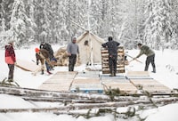 Supporters of the Wet'suwet'en hereditary chiefs and who oppose the Costal GasLink pipeline, work on a support camp just outside of Gidimt'en checkpoint near Houston B.C., on Thursday, Jan. 9, 2020. A report by Amnesty International says police in British Columbia conducted arbitrary arrests and "aggressive surveillance, harassment and intimidation" of First Nations protesters blocking a pipeline project. THE CANADIAN PRESS/Jason Franson