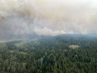 An evacuation order covering hundreds of properties south of Kamloops, B.C., has been scaled back to an alert as crews make good progress containing a wildfire about 10 kilometres south of the city. The Thompson-Nicola Regional District is allowing residents of 327 properties to return home, although they must be ready to leave on short notice. The Ross Moore Lake wildfire is shown in this handout image provided by the BC Wildfire Service. THE CANADIAN PRESS/HO-BC Wildfire Service *MANDATORY CREDIT*