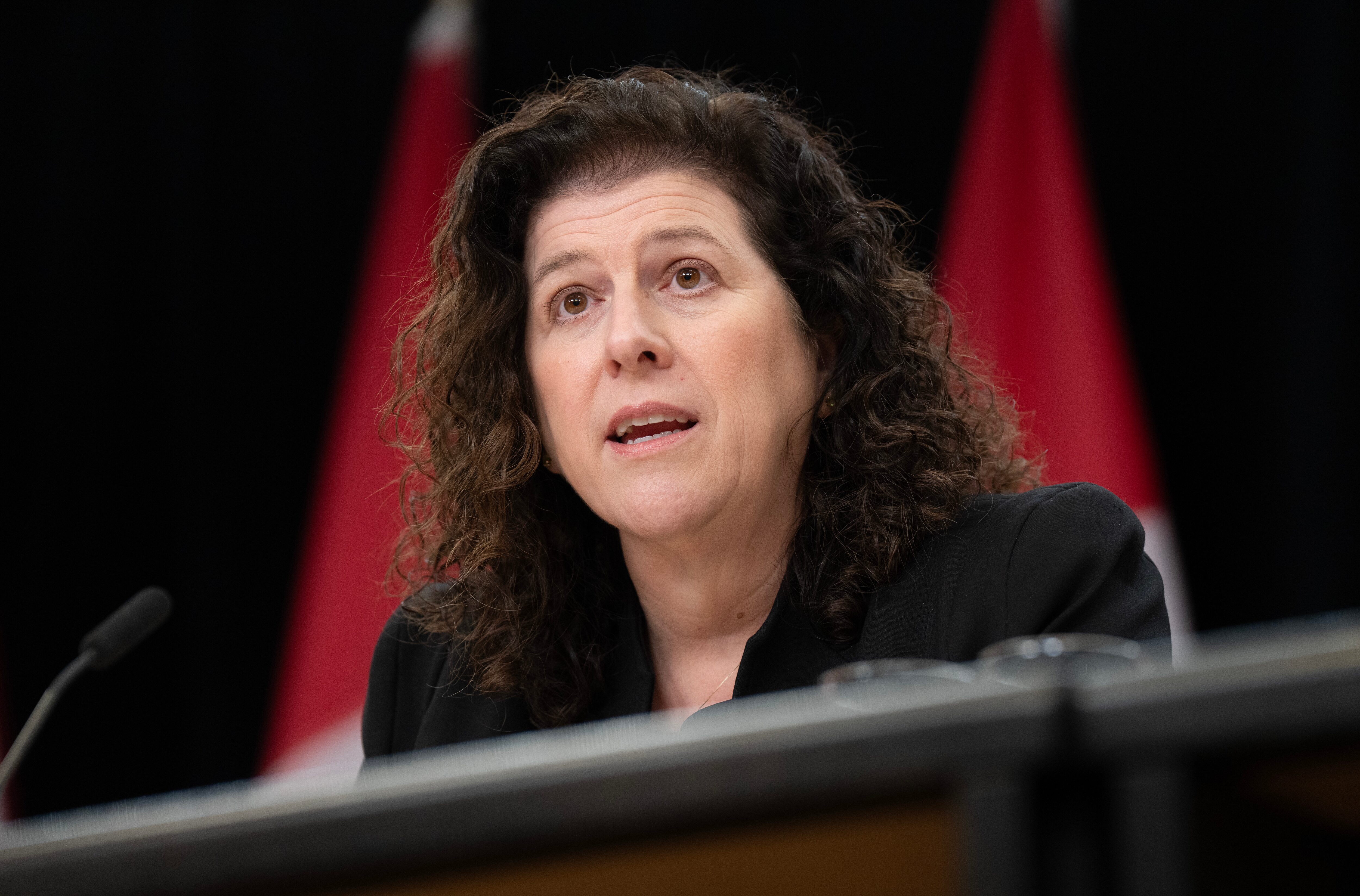 RCMP studying ArriveCan report after meeting with top auditor