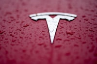 A Tesla logo has rain drops on it Tuesday, Feb. 27, 2024, in Charlotte, N.C. In campaigns for Congress and for governor around the country, candidates are talking about how green the grid should be.  (AP Photo/Chris Carlson)