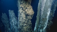 An image of the seafloor at the Endeavour segment of the Juan de Fuca Ridge is shown in a handout photo. Scientists say they recorded 200 earthquakes in an hour on the seafloor, suggesting it will erupt at some point in the next few years. THE CANADIAN PRESS/HO-Ocean Network Canada/Ocean Exploration Trust **MANDATORY CREDIT** 
