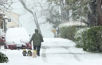 Snow falls as a woman and her dogs walk through an alley way in Victoria, Thursday, Jan. 18, 2024. THE CANADIAN PRESS/Chad Hipolito