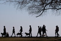 Statistics Canada says the country posted its highest annual population growth rate in more than six decades last year. People walk along the boardwalk in Toronto's east end on Sunday, April 4 2021. THE CANADIAN PRESS/Chris Young