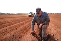 Potato farmer John Visser digs into the soil of one of his fields near Victoria by the Sea, P.E.I. as planters work in the background  on May 19, 2023