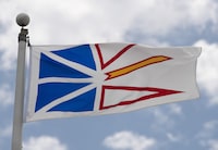 Newfoundland and Labrador's provincial flag flies on a flag pole in Ottawa, Friday, July 3, 2020. The same handful of doctors and nurse practitioners who helped introduce medically assisted death to Newfoundland and Labrador are handling the majority of a steadily increasing number of requests for the service and they say they can no longer do it alone. THE CANADIAN PRESS/Adrian Wyld