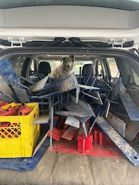 Veterinarians Without Borders sent crates from across Canada to Yellowknife to help people take their pets on evacuation flights as a fire approached the Northwest Territories capital city. A dog named Thor looks on from in a vehicle in Yellowknife as workers set up evacuation centres, in an undated handout photo. THE CANADIAN PRESS/HO-Veterinarians Without Borders, *MANDATORY CREDIT*