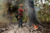 A firefighter with the British Columbia Wildfire Service Titan unit crew marks a dangerous tree on the southeastern flank of the Bush Creek wildfire in Turtle Valley, after it destroyed homes and other structures in multiple communities in the North Shuswap region of British Columbia, Canada. August 23, 2023 REUTERS/ Jesse Winter