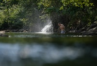 A person cools off in Lynn Creek in North Vancouver, B.C., on Thursday, July 6, 2023.&nbsp;Parts of southern and coastal British Columbia as well as large swaths of Alberta and the North are under heat warnings as temperatures are forecasted to soar near or above 30 degrees over the weekend and into Monday. THE CANADIAN PRESS/Darryl Dyck