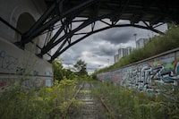 MetroLinx is proposing to service and store GoTrains on this stretch of overgrown rail line, running between the Don Valley Trail at left and the DVP at right, as seen from the Bloor ViaDuct in Toronto, Ont. on Thursday, September 23, 2021.  (J.P. Moczulski/The Globe and Mail)