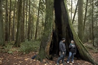 Environmentalist Ken Wu takes federal MP Julie Labrusin on a tour of old growth forest at Francis King regional park in Victoria, B.C., on Friday, November 17, 2023. Chad Hipolito/The Globe and Mail 