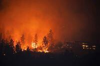 The McDougall Creek wildfire burns outside the Okanagan community of West Kelowna, British Columbia, Canada, August 19, 2023. REUTERS/Chris Helgren